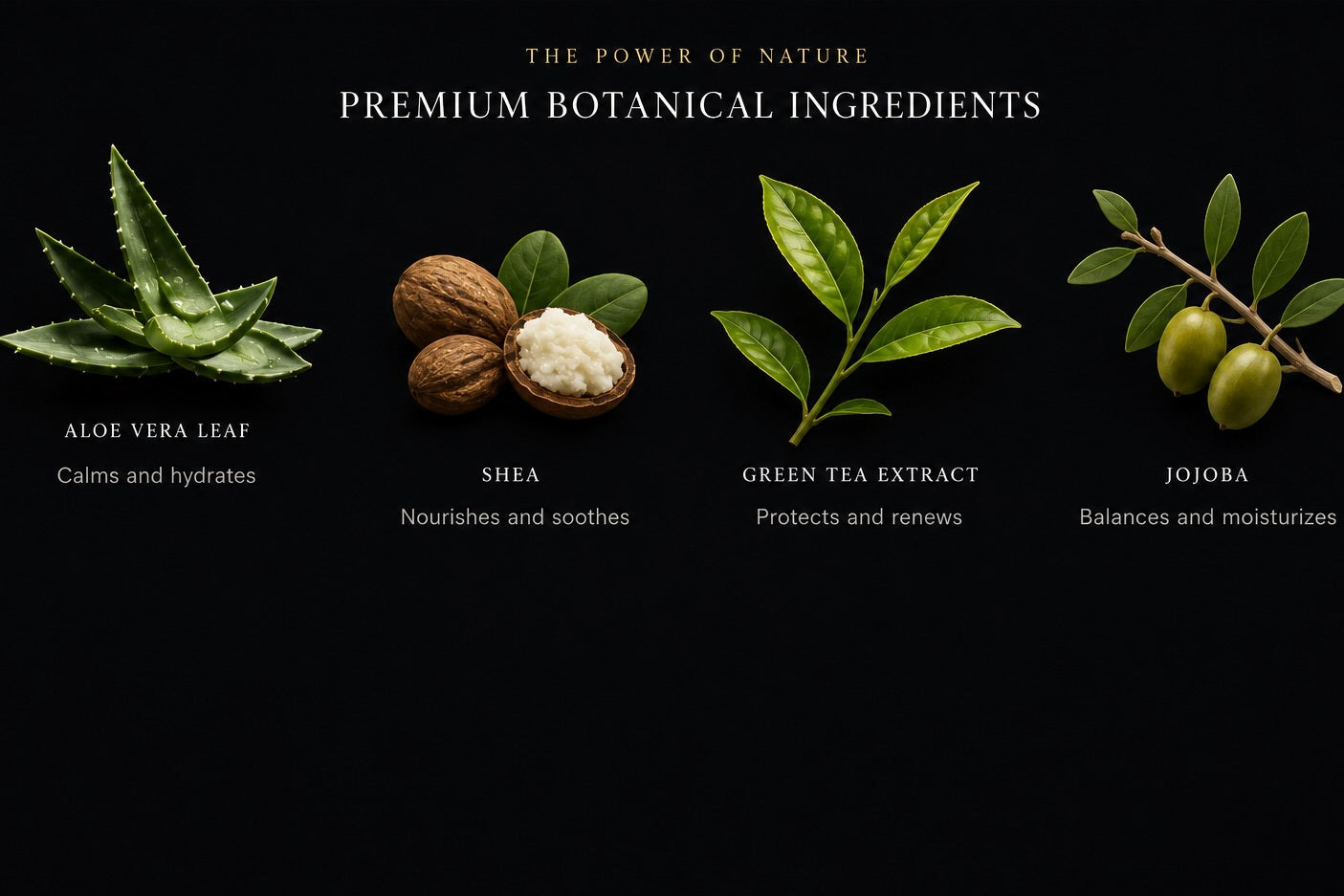 BEHIND OUR FORMULAS